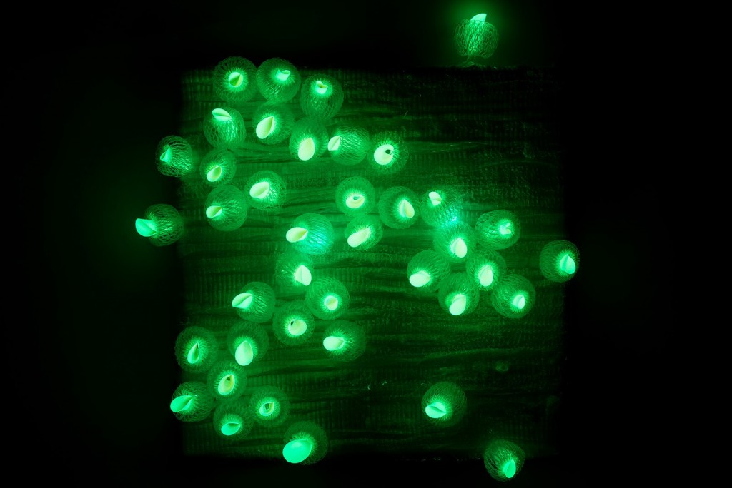 Eventi. Senza perdere il filo. Chirping in the snow 2014