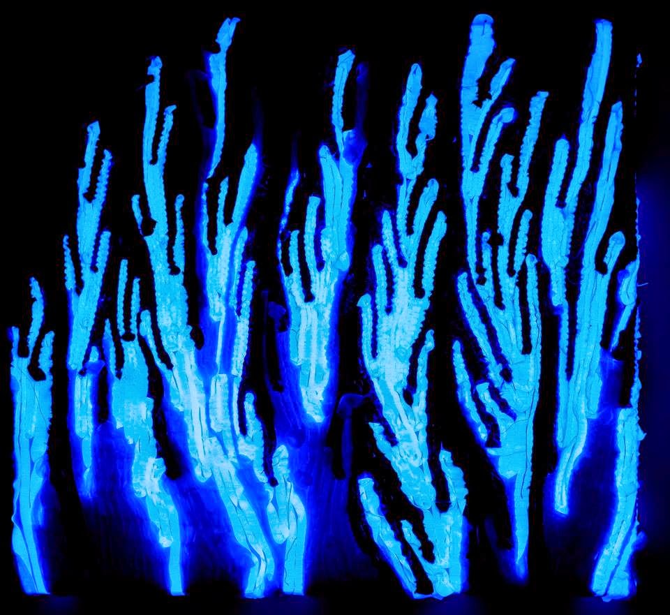 Eventi senza perdere il filo